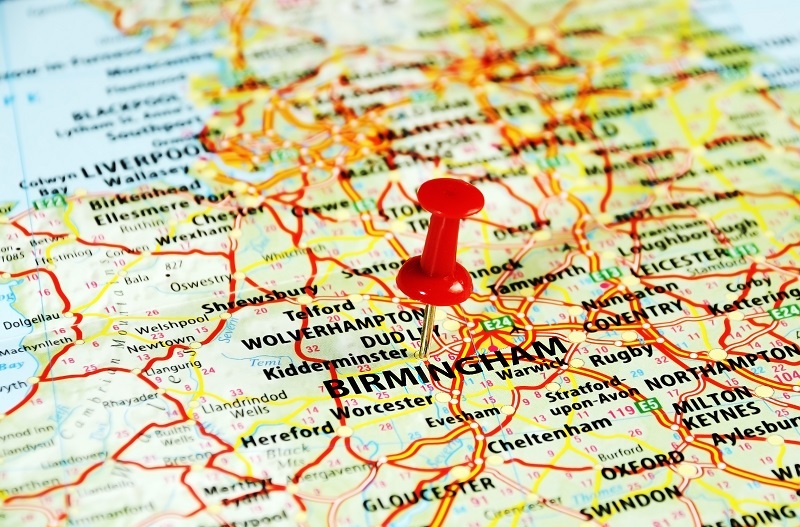 Low Maintenance Office Plants The Top 10 Picks for Busy Desks